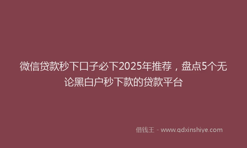 微信贷款秒下口子必下2025年推荐，盘点5个无论黑白户秒下款的贷款平台