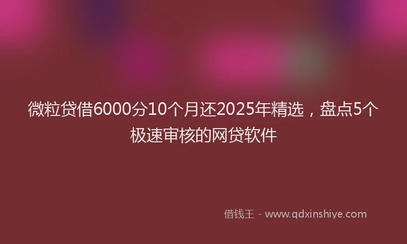 微粒贷借6000分10个月还2025年精选，盘点5个极速审核的网贷软件