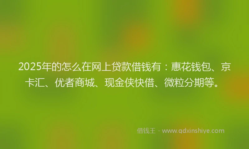 2025年的怎么在网上贷款借钱有：惠花钱包、京卡汇、优者商城、现金侠快借、微粒分期等。
