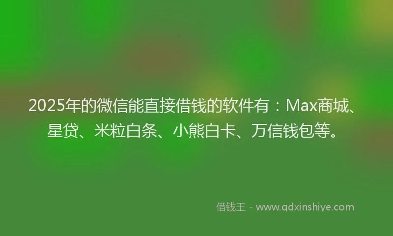 2025年的微信能直接借钱的软件有：Max商城、星贷、米粒白条、小熊白卡、万信钱包等。