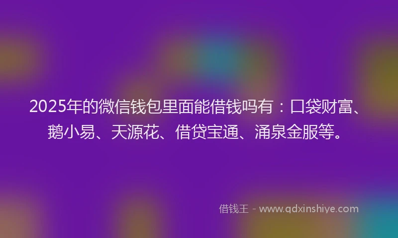 2025年的微信钱包里面能借钱吗有：口袋财富、鹅小易、天源花、借贷宝通、涌泉金服等。