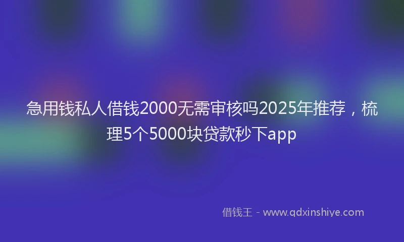 急用钱私人借钱2000无需审核吗2025年推荐，梳理5个5000块贷款秒下app