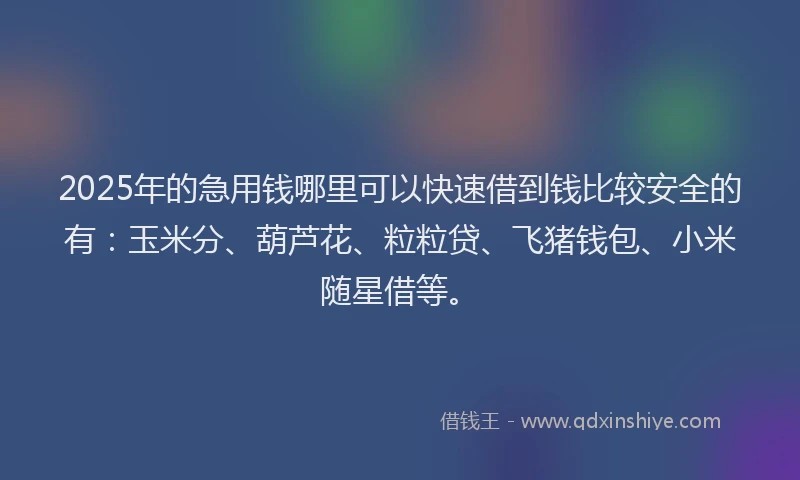 2025年的急用钱哪里可以快速借到钱比较安全的有：玉米分、葫芦花、粒粒贷、飞猪钱包、小米随星借等。