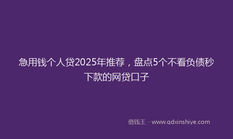 急用钱个人贷2025年推荐，盘点5个不看负债秒下款的网贷口子
