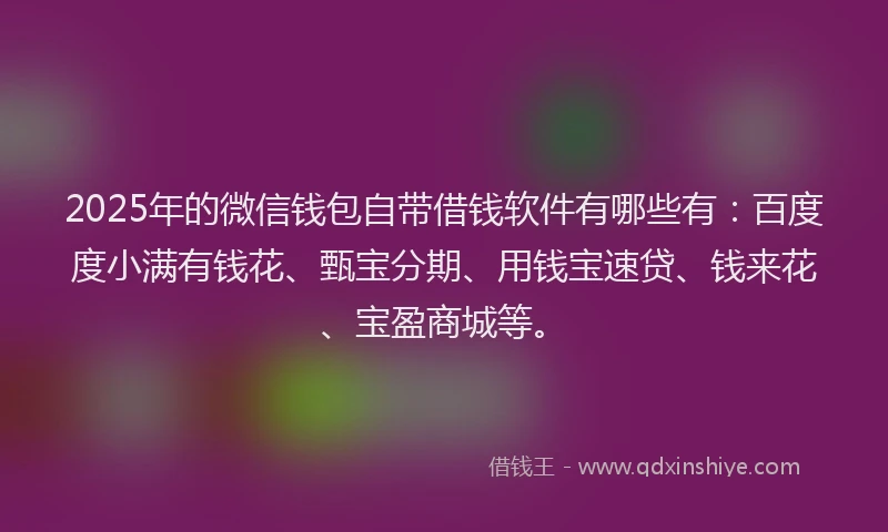 2025年的微信钱包自带借钱软件有哪些有：百度度小满有钱花、甄宝分期、用钱宝速贷、钱来花、宝盈商城等。