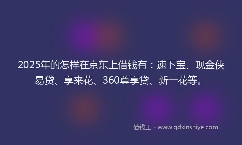 2025年的怎样在京东上借钱有：速下宝、现金侠易贷、享来花、360尊享贷、新一花等。