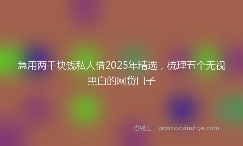 急用两千块钱私人借2025年精选，梳理五个无视黑白的网贷口子