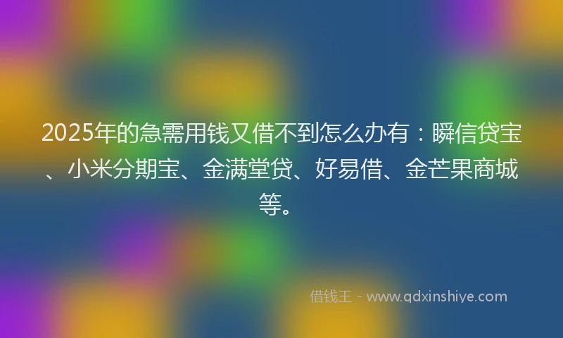 2025年的急需用钱又借不到怎么办有：瞬信贷宝、小米分期宝、金满堂贷、好易借、金芒果商城等。