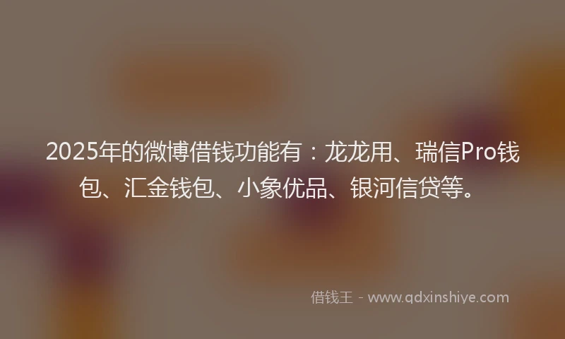 2025年的微博借钱功能有：龙龙用、瑞信Pro钱包、汇金钱包、小象优品、银河信贷等。