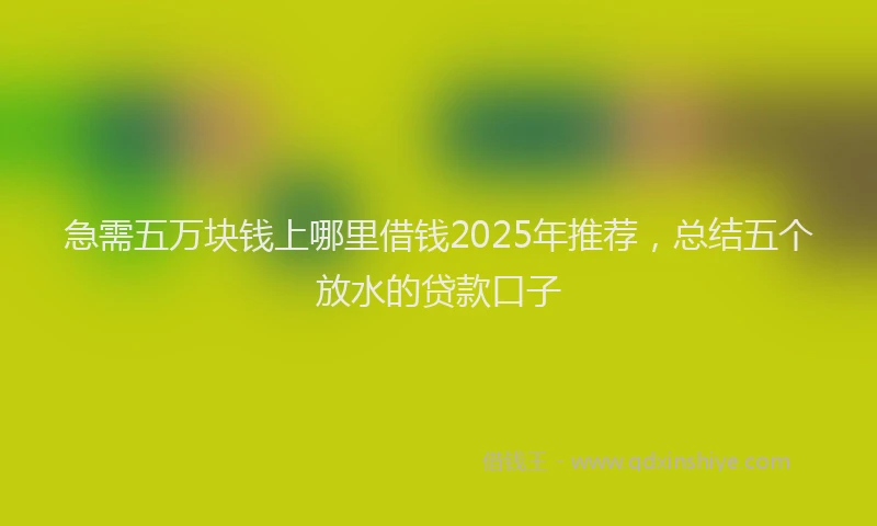 急需五万块钱上哪里借钱2025年推荐，总结五个放水的贷款口子