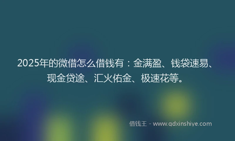 2025年的微借怎么借钱有：金满盈、钱袋速易、现金贷途、汇火佑金、极速花等。