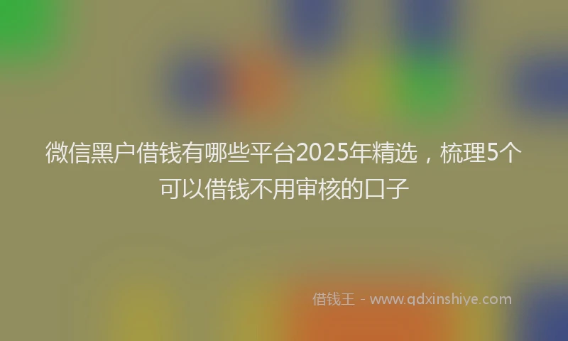 微信黑户借钱有哪些平台2025年精选，梳理5个可以借钱不用审核的口子