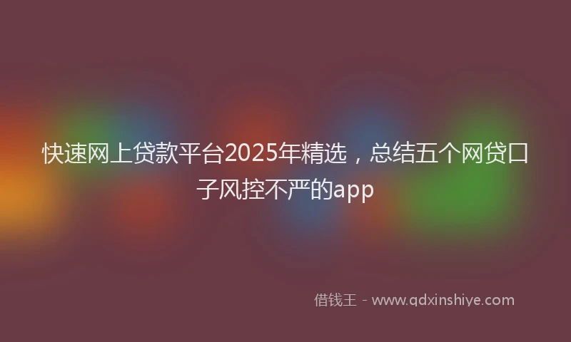 快速网上贷款平台2025年精选，总结五个网贷口子风控不严的app