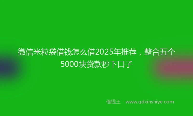 微信米粒袋借钱怎么借2025年推荐，整合五个5000块贷款秒下口子