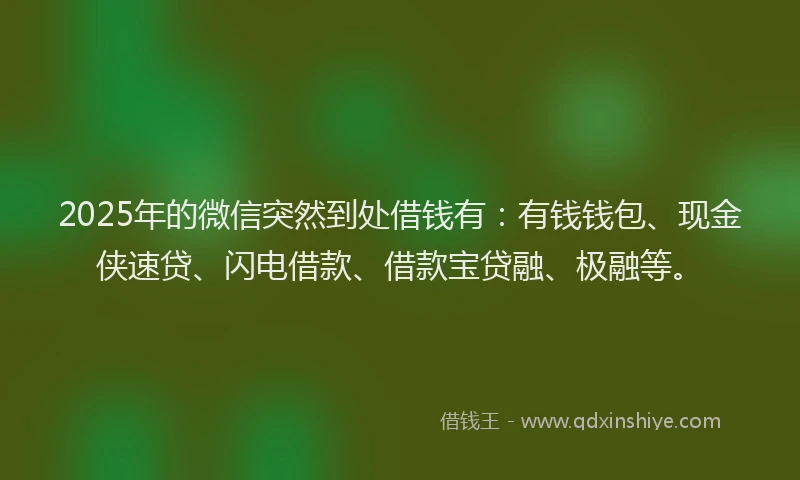 2025年的微信突然到处借钱有：有钱钱包、现金侠速贷、闪电借款、借款宝贷融、极融等。