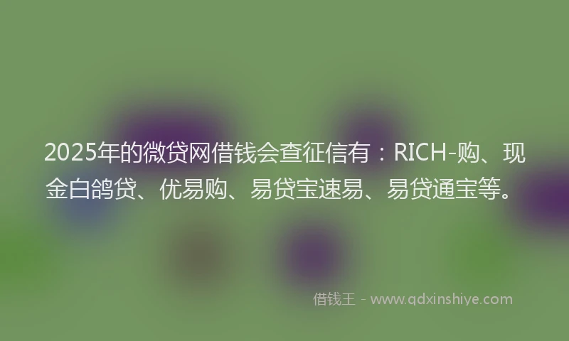 2025年的微贷网借钱会查征信有：RICH-购、现金白鸽贷、优易购、易贷宝速易、易贷通宝等。