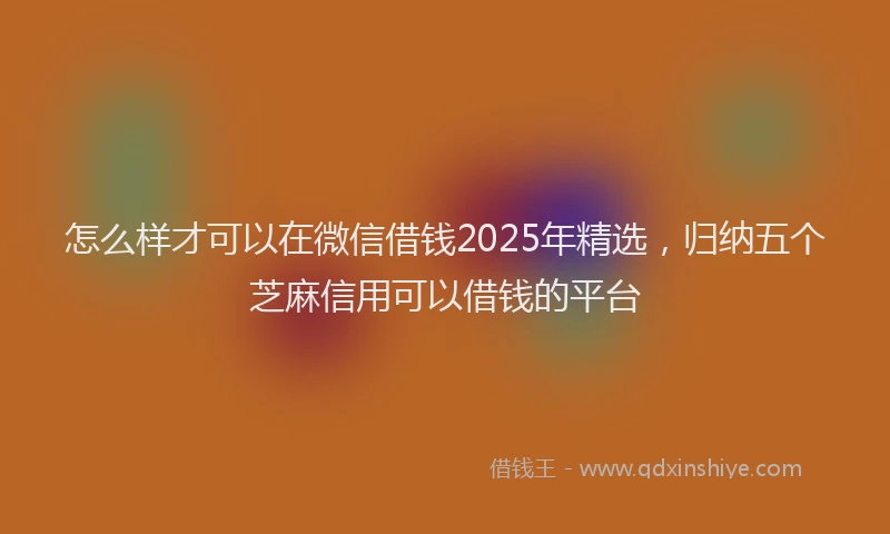怎么样才可以在微信借钱2025年精选，归纳五个芝麻信用可以借钱的平台