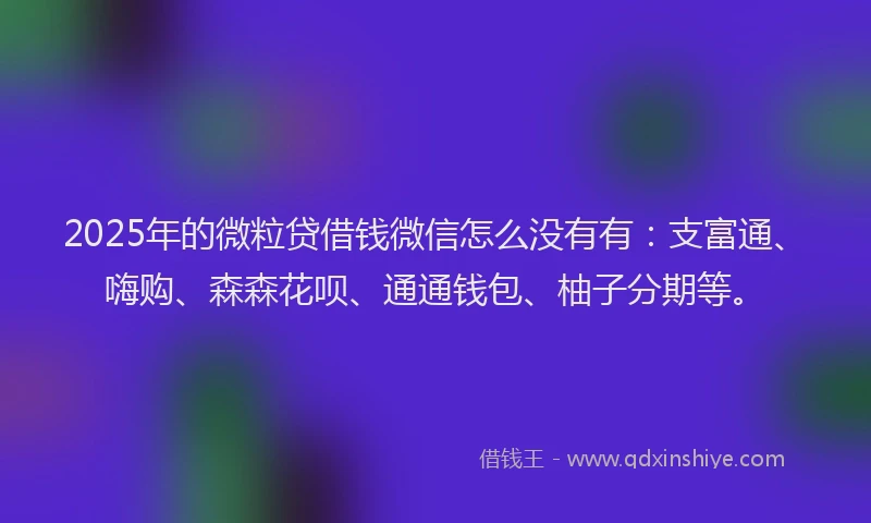 2025年的微粒贷借钱微信怎么没有有：支富通、嗨购、森森花呗、通通钱包、柚子分期等。