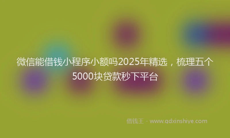 微信能借钱小程序小额吗2025年精选，梳理五个5000块贷款秒下平台