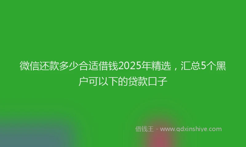 微信还款多少合适借钱2025年精选，汇总5个黑户可以下的贷款口子