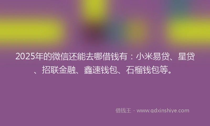 2025年的微信还能去哪借钱有：小米易贷、星贷、招联金融、鑫速钱包、石榴钱包等。