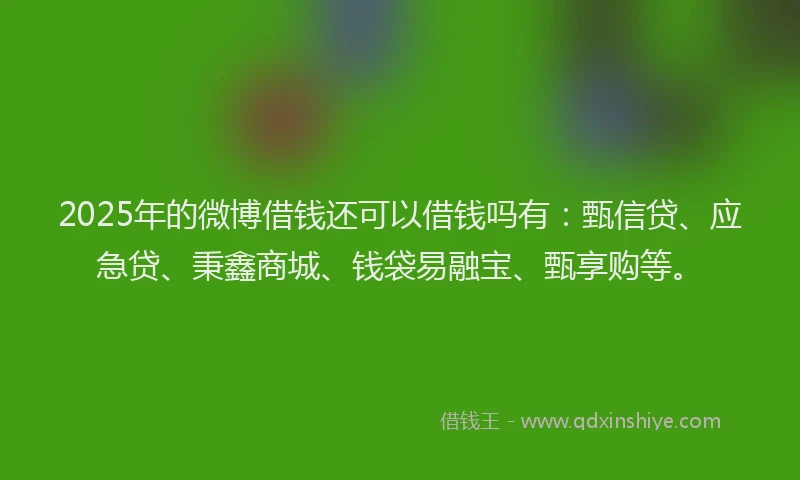 2025年的微博借钱还可以借钱吗有：甄信贷、应急贷、秉鑫商城、钱袋易融宝、甄享购等。
