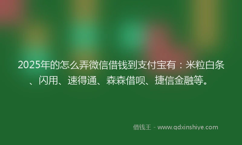 2025年的怎么弄微信借钱到支付宝有：米粒白条、闪用、速得通、森森借呗、捷信金融等。