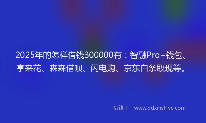 2025年的怎样借钱300000有：智融Pro+钱包、享来花、森森借呗、闪电购、京东白条取现等。
