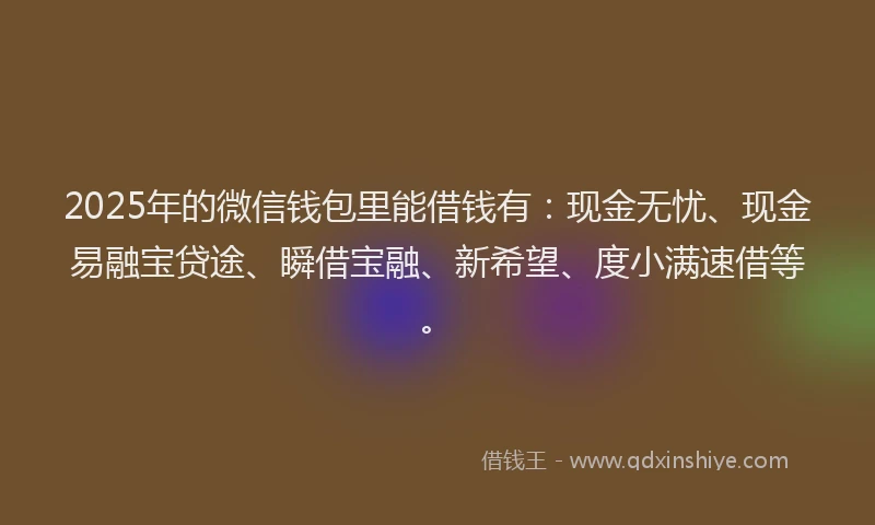 2025年的微信钱包里能借钱有：现金无忧、现金易融宝贷途、瞬借宝融、新希望、度小满速借等。