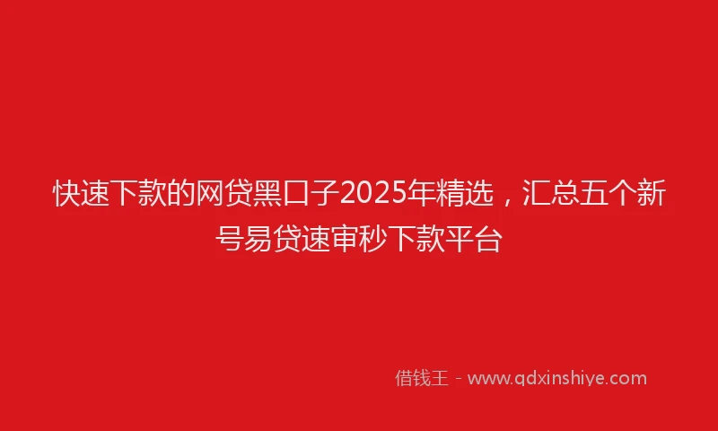 快速下款的网贷黑口子2025年精选，汇总五个新号易贷速审秒下款平台