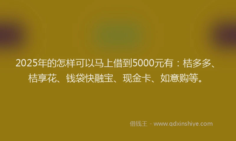 2025年的怎样可以马上借到5000元有：桔多多、桔享花、钱袋快融宝、现金卡、如意购等。