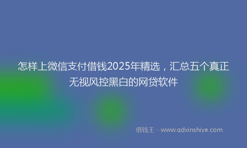 怎样上微信支付借钱2025年精选，汇总五个真正无视风控黑白的网贷软件