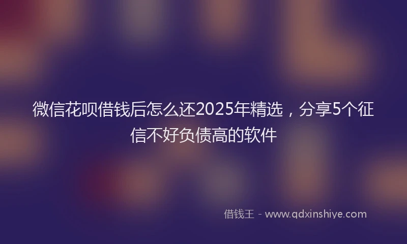 微信花呗借钱后怎么还2025年精选，分享5个征信不好负债高的软件