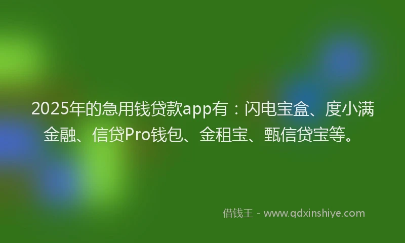 2025年的急用钱贷款app有：闪电宝盒、度小满金融、信贷Pro钱包、金租宝、甄信贷宝等。