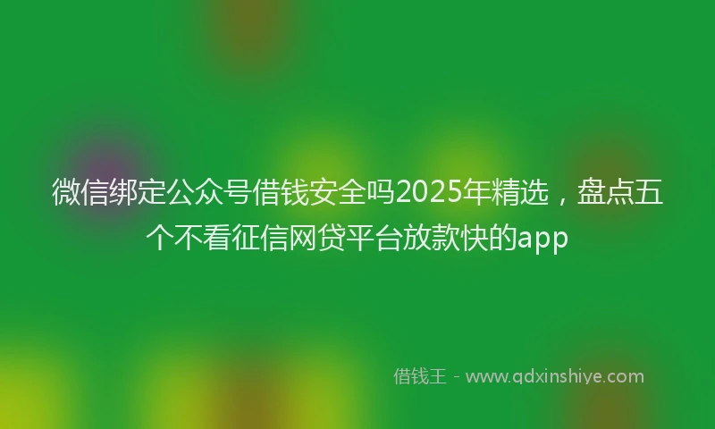 微信绑定公众号借钱安全吗2025年精选，盘点五个不看征信网贷平台放款快的app