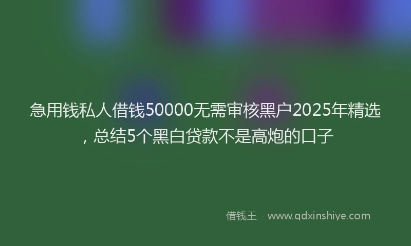 急用钱私人借钱50000无需审核黑户2025年精选，总结5个黑白贷款不是高炮的口子