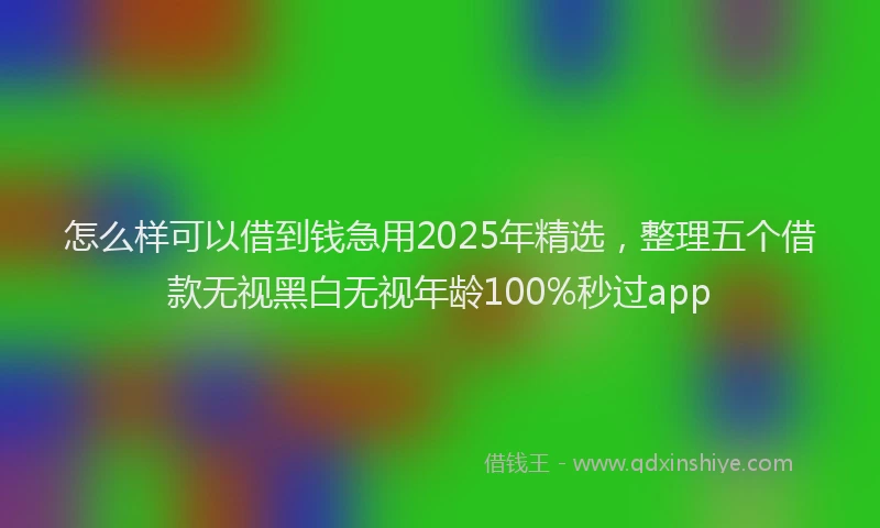 怎么样可以借到钱急用2025年精选，整理五个借款无视黑白无视年龄100%秒过app