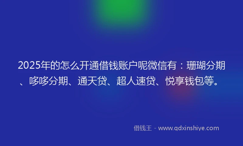 2025年的怎么开通借钱账户呢微信有：珊瑚分期、哆哆分期、通天贷、超人速贷、悦享钱包等。
