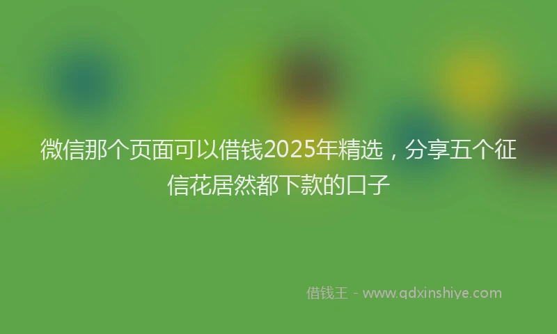 微信那个页面可以借钱2025年精选，分享五个征信花居然都下款的口子