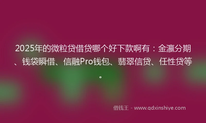 2025年的微粒贷借贷哪个好下款啊有：金瀛分期、钱袋瞬借、信融Pro钱包、翡翠信贷、任性贷等。