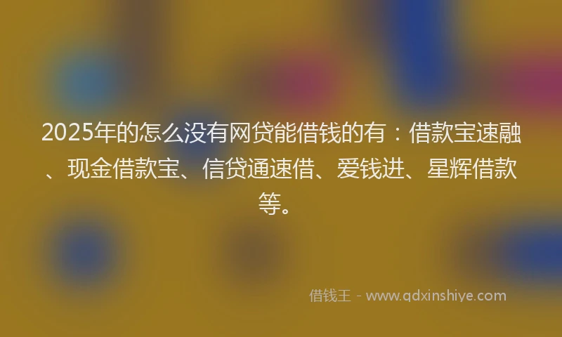 2025年的怎么没有网贷能借钱的有：借款宝速融、现金借款宝、信贷通速借、爱钱进、星辉借款等。