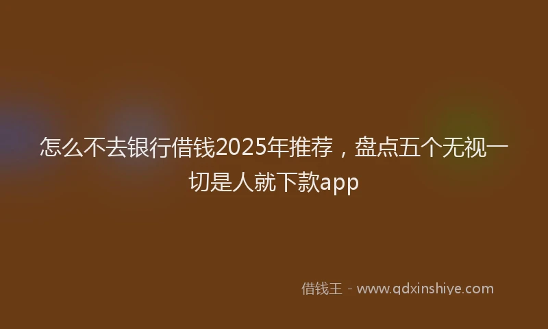 怎么不去银行借钱2025年推荐，盘点五个无视一切是人就下款app
