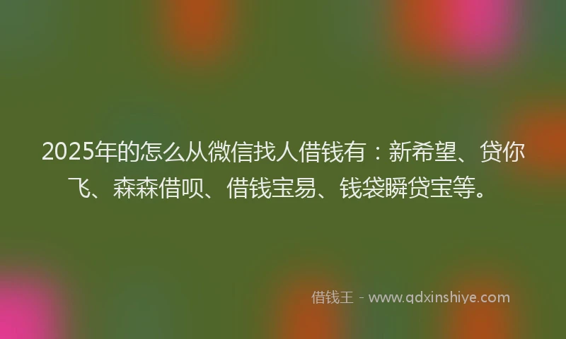2025年的怎么从微信找人借钱有：新希望、贷你飞、森森借呗、借钱宝易、钱袋瞬贷宝等。