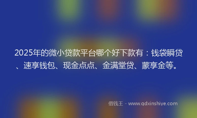 2025年的微小贷款平台哪个好下款有:钱袋瞬贷、速享钱包、现金点点、金满堂贷、蒙享金等。