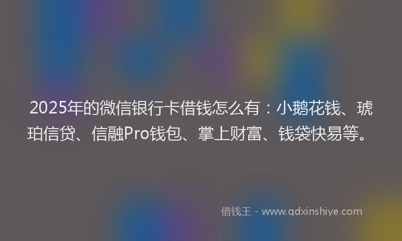 2025年的微信银行卡借钱怎么有：小鹅花钱、琥珀信贷、信融Pro钱包、掌上财富、钱袋快易等。
