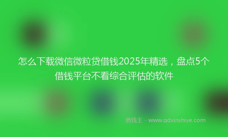 怎么下载微信微粒贷借钱2025年精选，盘点5个借钱平台不看综合评估的软件