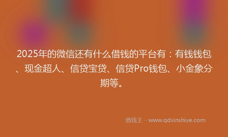 2025年的微信还有什么借钱的平台有：有钱钱包、现金超人、信贷宝贷、信贷Pro钱包、小金象分期等。