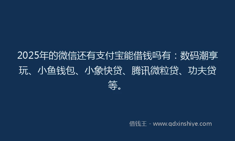 2025年的微信还有支付宝能借钱吗有：数码潮享玩、小鱼钱包、小象快贷、腾讯微粒贷、功夫贷等。