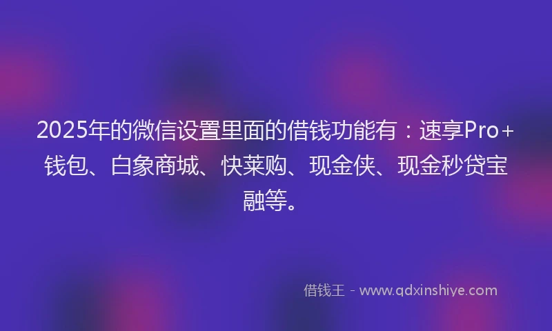 2025年的微信设置里面的借钱功能有：速享Pro+钱包、白象商城、快莱购、现金侠、现金秒贷宝融等。