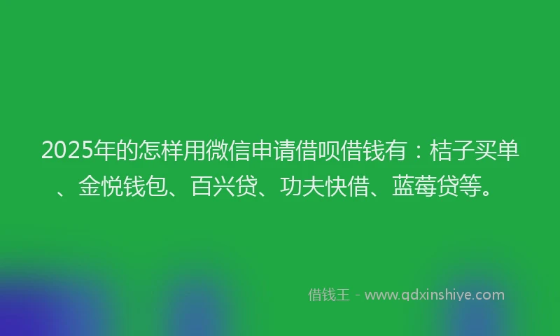 2025年的怎样用微信申请借呗借钱有：桔子买单、金悦钱包、百兴贷、功夫快借、蓝莓贷等。